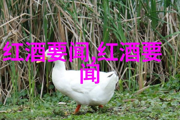 佩阔利诺Pecorino玫瑰花品种名字大全图片数据驱动