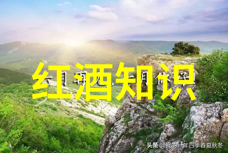 教师应该如何指导四年级学生更好地理解和演绎历史人物的故事