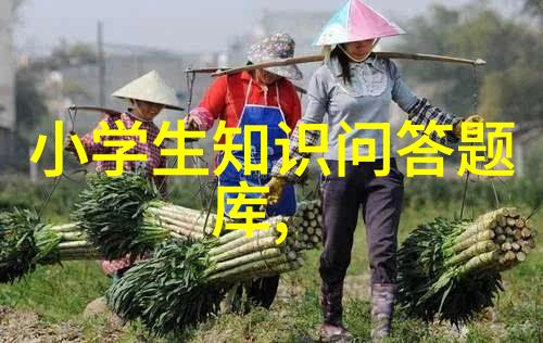 探索文化底蕴与葡萄酒传统解读文化定义与葡萄酒文化的内涵