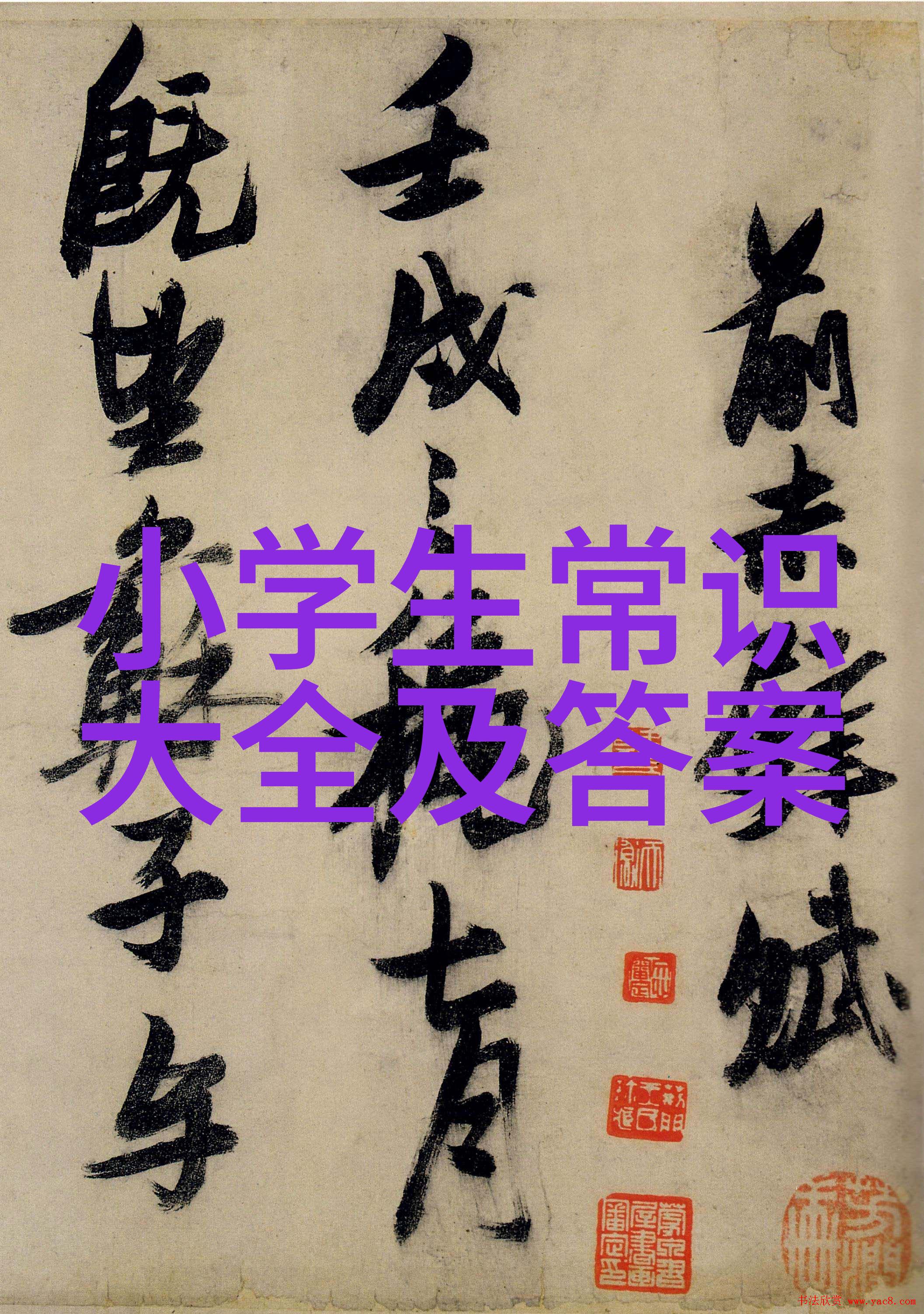 逆袭美漫从笔下到屏幕的奇迹