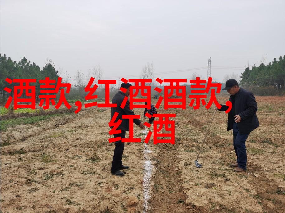从古老的橄榄树到今朝的方便面揭秘中东历史的幽默真相