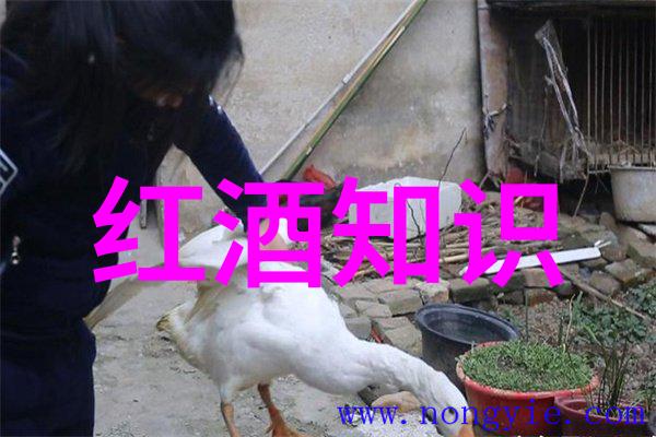 甜蜜的回忆朱古力与我们的童年