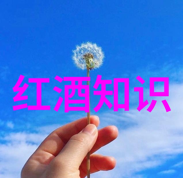 MINUS8动画最新作品MINUS8动画最新热门动漫