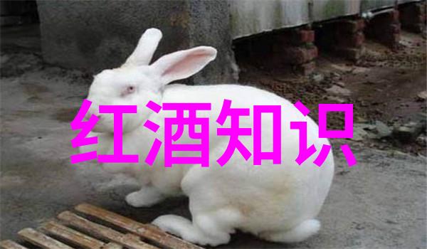 智慧星球开启你的笑料大师之旅
