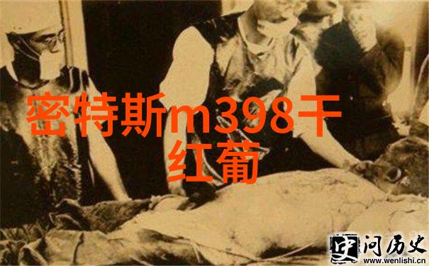 葡萄酒之旅从古老的莆田到现代的巴黎
