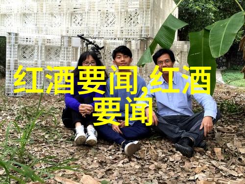 上海周边二日游探索古运河风情与现代都市魅力