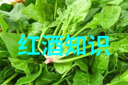 香槟风情中的阿拉贡赤霞珠探寻独特风土的人气红酒