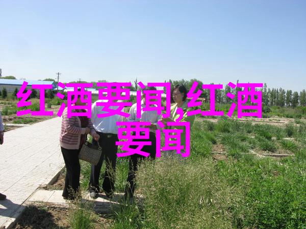 玉米品种大揭秘它们究竟是怎样分类的