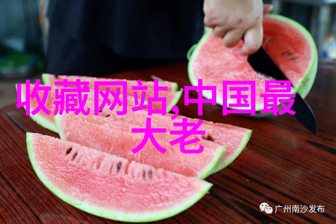 王学兵演技与魅力的完美结合