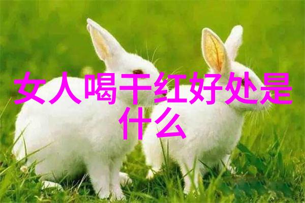 中国女子闯入海湖庄园神秘访客与家族阴谋