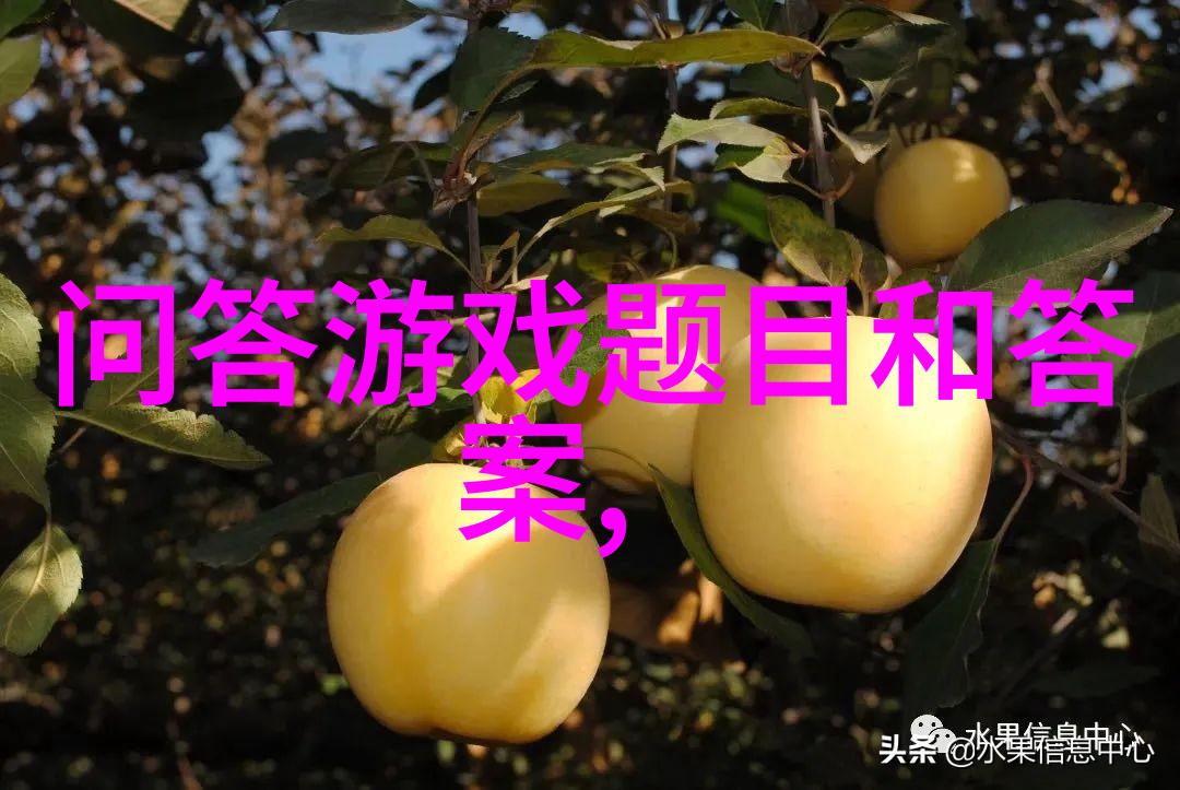 问卷赚钱之谜从零到英雄的逆袭故事