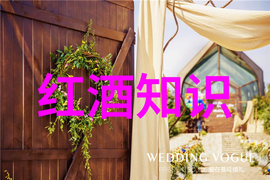 两个人一瓶红酒一段美好时光如何共享这份温馨