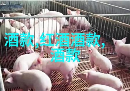 宠物与工作合一学习如何训练你的猎犬