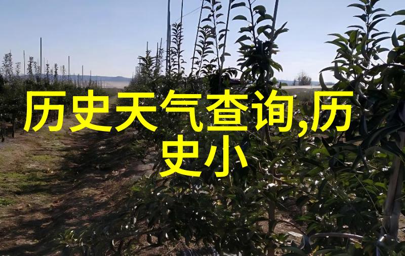 寻找失落的收藏手机中的宝贵记忆与如何快速定位