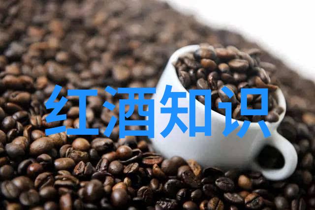 技术解答随手智能问答应用革新生活方式