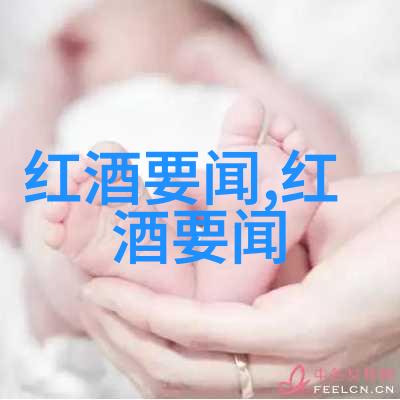 都兰产区的葡萄酒之恋揭秘法国AOP的故事