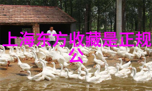 唐朝的铁血将领李靖与史思明