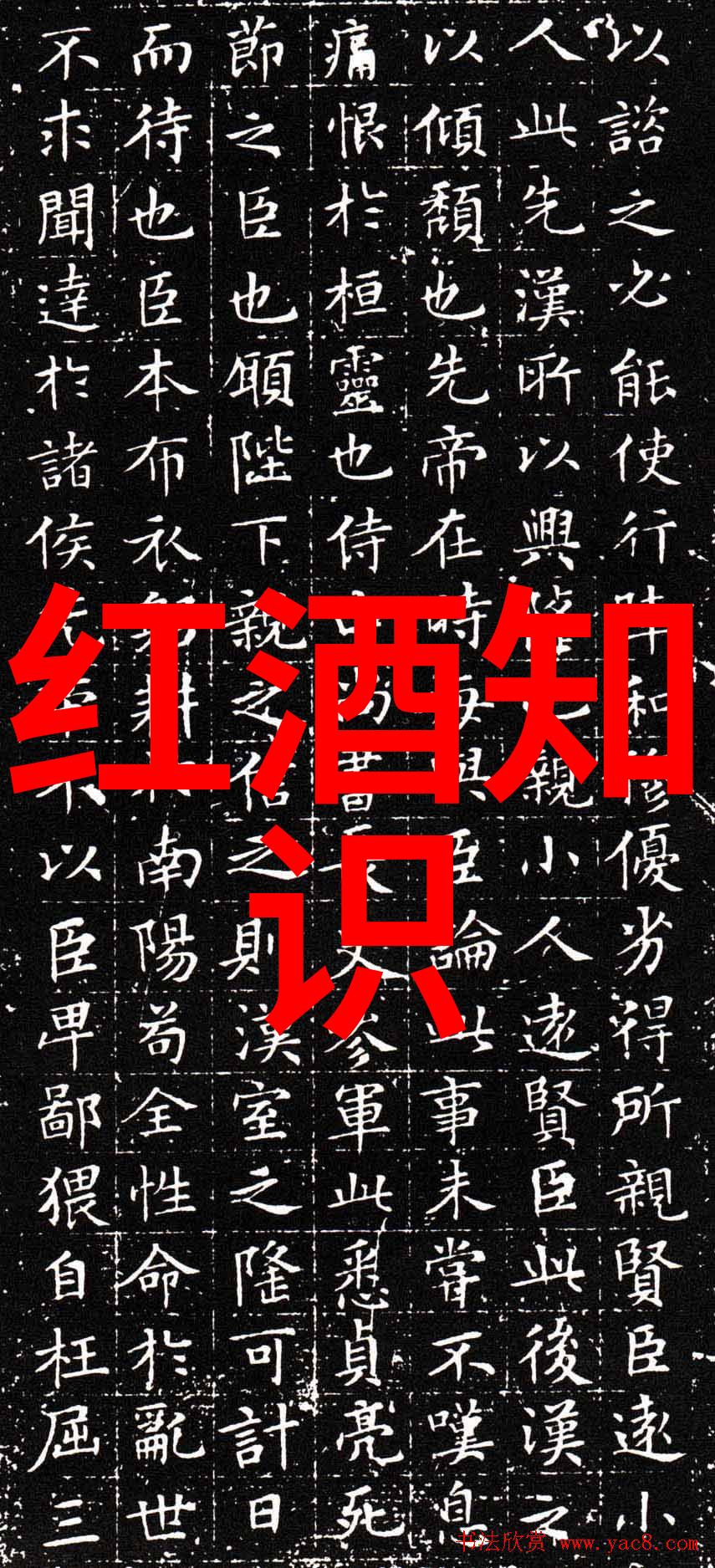 探索沪外离上海比较近的旅游城市奇遇