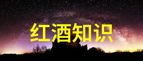 查看7天历史记录我来看看自己过去七天有没有什么宝贵的瞬间