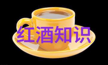 品尝CannonBeach葡萄酒和美食节将于10月回归吗就像查看2023年的猫价格一览表一样等待着我