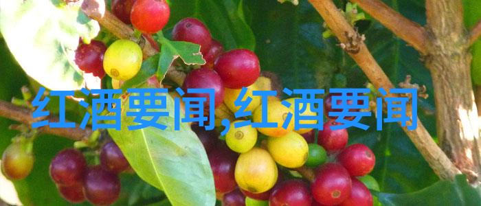 大收藏家电视剧荣获纳帕谷葡萄酒之都2024年最佳葡萄酒旅游地区奖