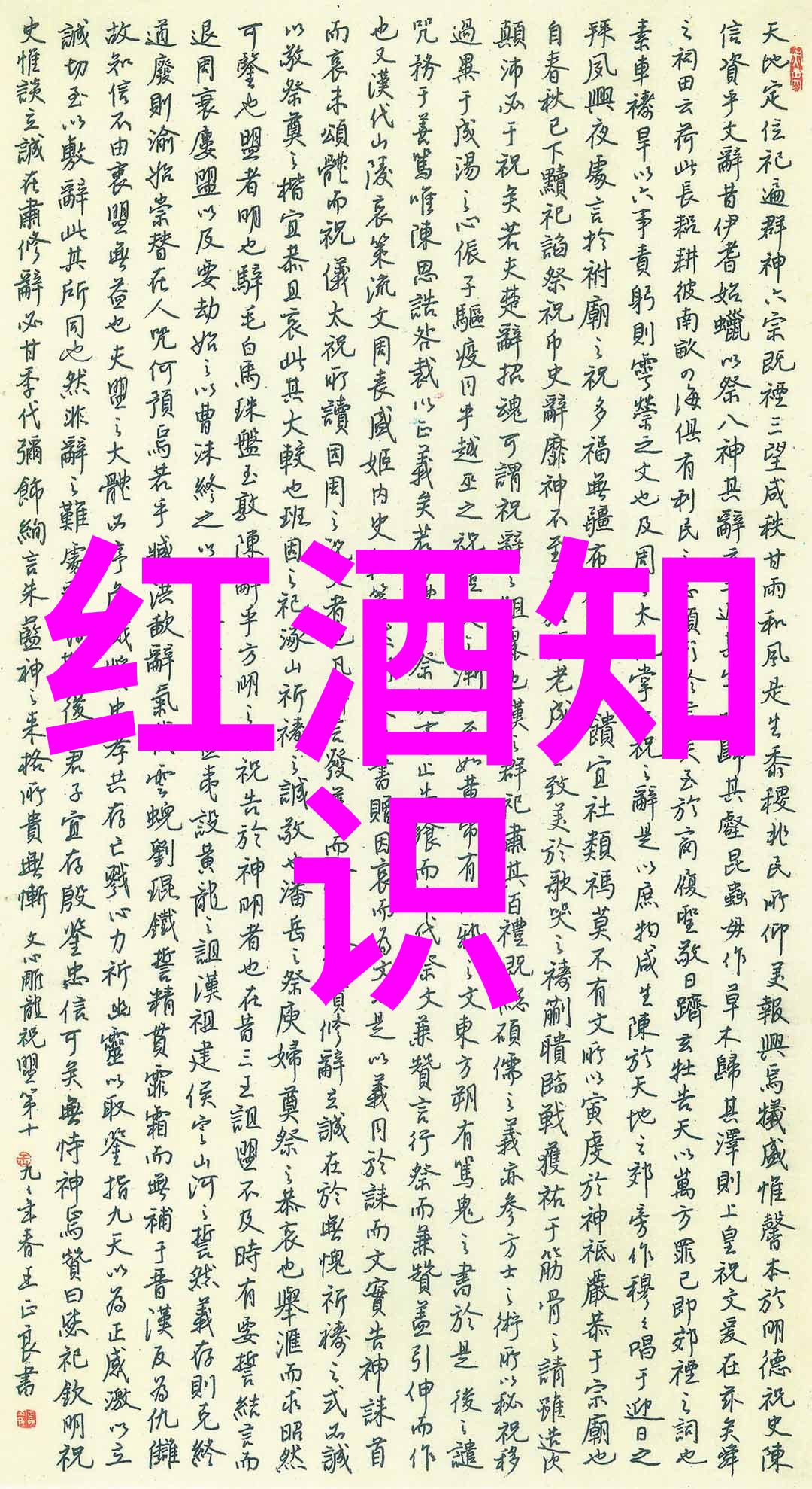 猫咪宝贝全球各大品种价格排行榜揭秘