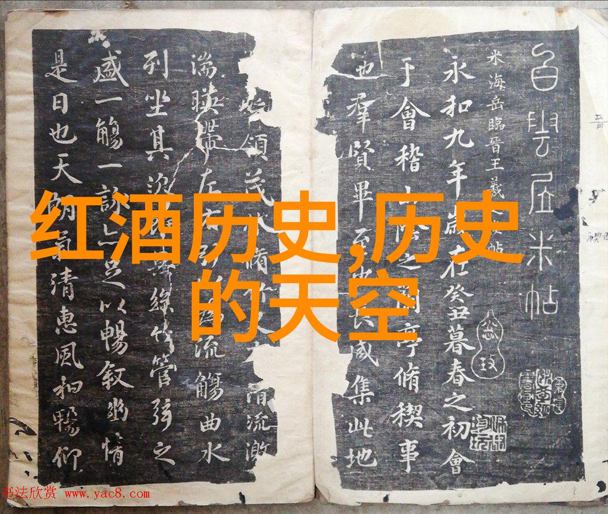 醉心于葡萄之国探秘全球顶级红酒产区