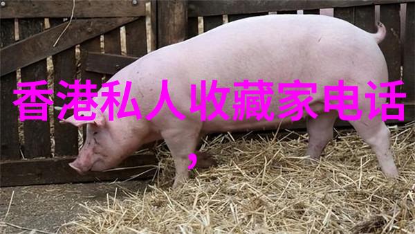 探秘未知这附近隐藏着什么神秘旅游景点