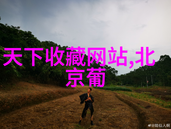 如何评估一处北京庄园是否值得投资购买