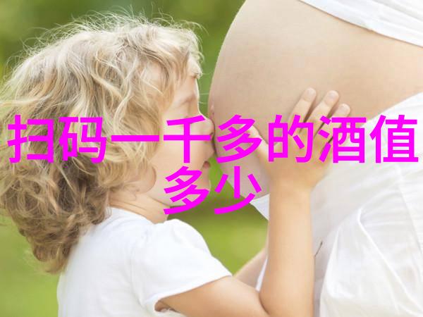 南京古都之旅探索明朝的繁荣与文化遗产