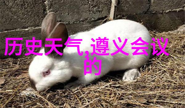 边水往事中的卡通人物头像图片大全自然中的故事与结局解析