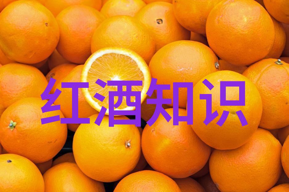 帕加诺酒庄在农场经营游戏中收获丰富的果实与葡萄成就美味佳酿