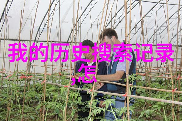 中世纪贵族庄园布局城堡庭院与围墙的故事