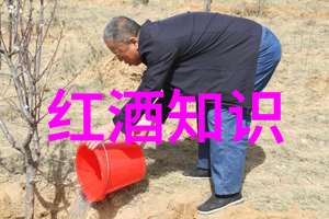 北京庄园董事长城中之巅的葡萄酒王者