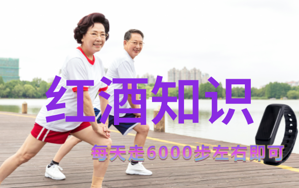 欧洲古典风情之城堡中世纪欧洲的壮丽建筑