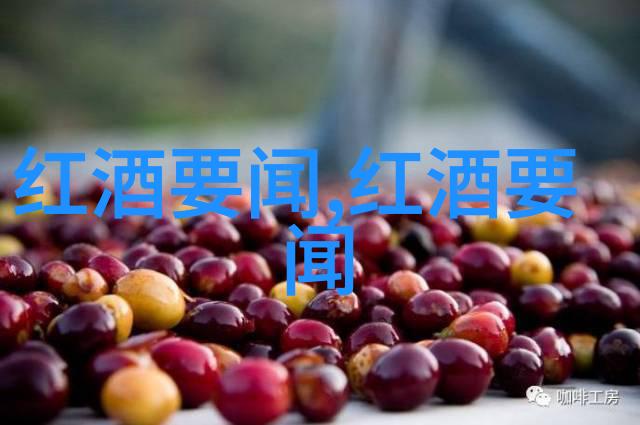 文化与葡萄酒-醉心于传承探索文化与葡萄酒文化的交响
