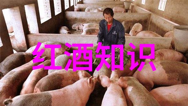 历史天气古代气候变化的记录与研究