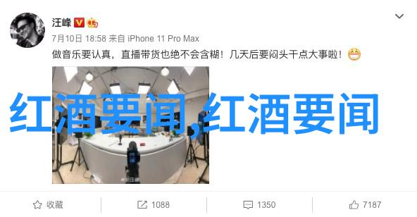 中世纪骑士庄园-荣耀的堡垒探索中世纪骑士的生活与守护