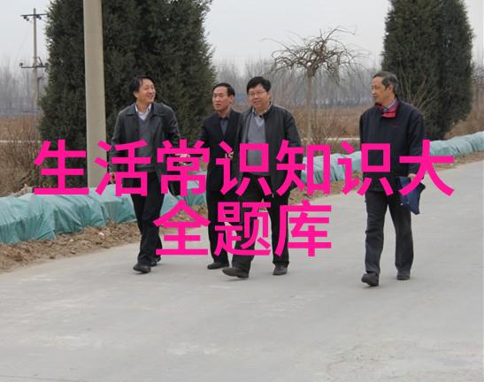 历史的喵叫回忆与变迁的交响曲