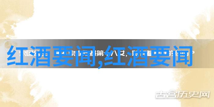 无声英雄老李和他的盲人助犬故事
