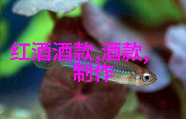 猫的品种排名图片价格-揭秘全球最受欢迎的猫咪宝贝一图定价