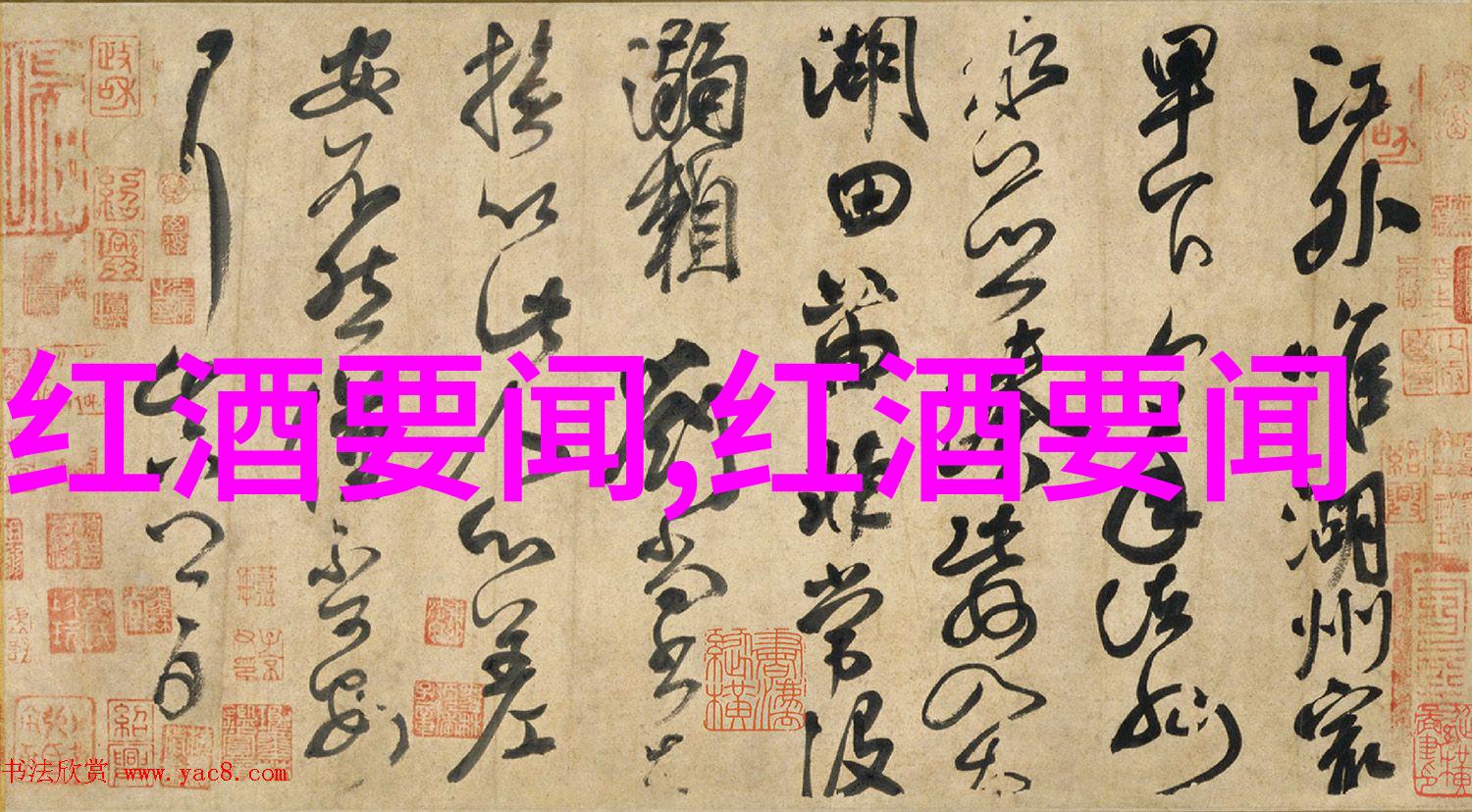 狸花猫与美短的区别颜色毛发与性格的对比