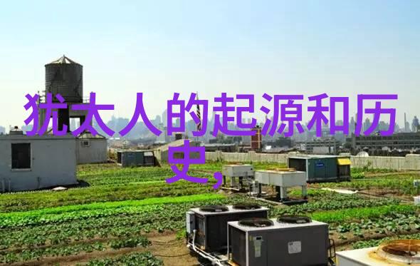 日本璀璨光芒探索其文化与艺术的闪耀之美