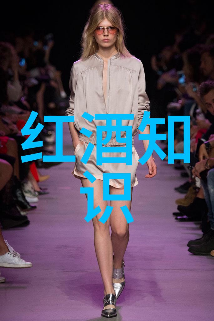 法国文化的浪漫与魅力巴黎之光与普罗旺斯之韵