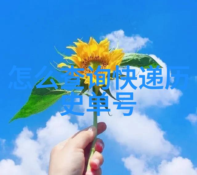 C了瑜伽课老师一节课视频我是如何在家里学到的瑜伽秘诀