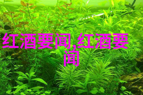 文化探索-葡萄酒之韵解读文化与葡萄酒文化的深度关联