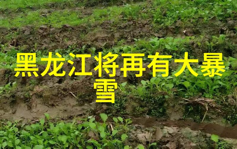 川藏边城的秘密花园重庆邻近的迷人胜地探秘