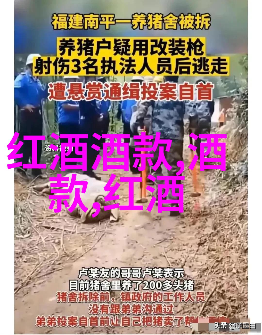 德国葡萄酒产区与酿酒葡萄品种指南法国红酒图案在社会中的流行探究