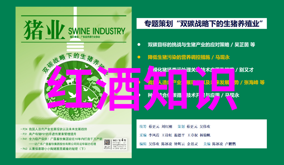 沪深300指数一手多少钱解析股指期权投资策略与成本考量