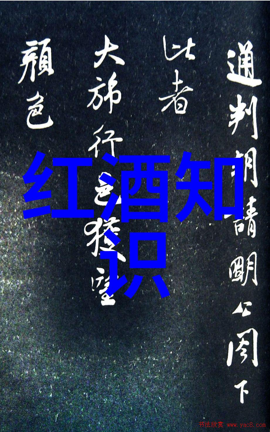 法国葡萄酒产区啤酒文化五种适合冬季饮用的啤酒简介